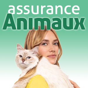 animaux